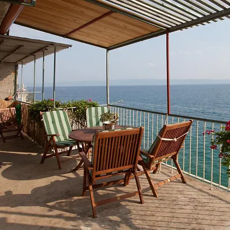 Martin スプリト